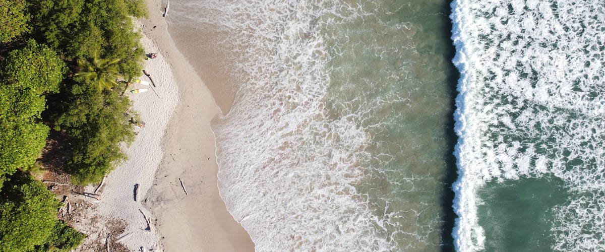 A beach with waves, a sandy shore, and dense green foliage.