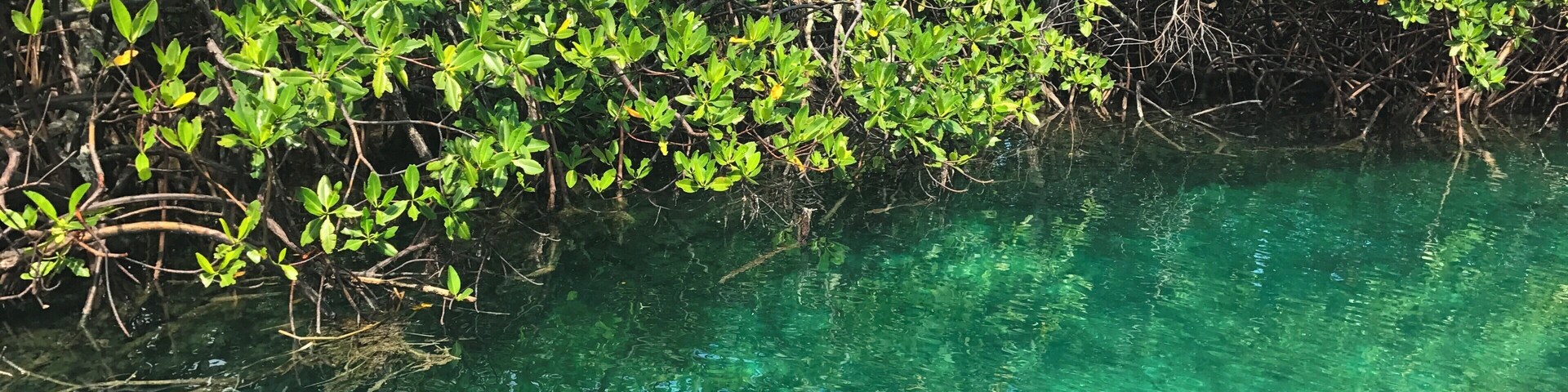 #lifeatexpedia Mamey is a private Island with few visitors so is an ideal retreat for couples. The boat ride from Puerto Lindo, Colon costs $6 both way. The entrance for the Island Mamey (as it is a private island) costs $2. That´s it!
There is no restaurant or hotels on the Island Mamey. You should bring all your refreshment with you, including lunch and drinks.