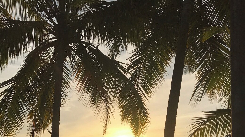 #lifeatexpedia Beautiful Portobelo is full of history and culture. Located on the Caribbean coast it has a variety of world class attractions. The historic town of Portobelo is one of the most scenic spots in Panama. Set on a turquoise Caribbean bay, it was Spanish Empires' s trade epicenter in the 16th and 17th century. Don´t miss the Portobello Fortress and the Cristo Negro Church!