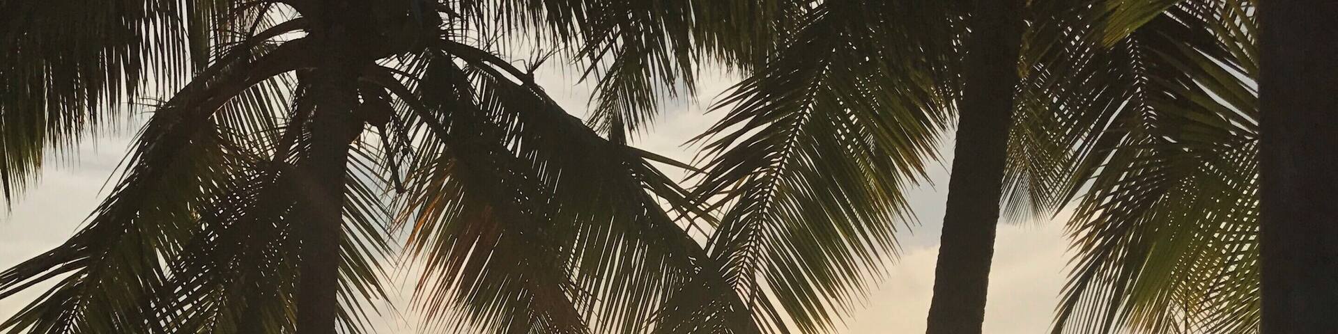 #lifeatexpedia Beautiful Portobelo is full of history and culture. Located on the Caribbean coast it has a variety of world class attractions. The historic town of Portobelo is one of the most scenic spots in Panama. Set on a turquoise Caribbean bay, it was Spanish Empires' s trade epicenter in the 16th and 17th century. Don´t miss the Portobello Fortress and the Cristo Negro Church!