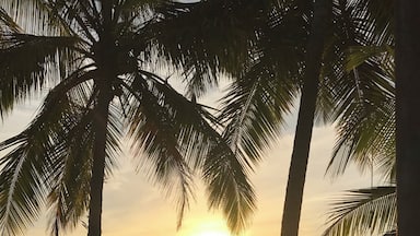 #lifeatexpedia Beautiful Portobelo is full of history and culture. Located on the Caribbean coast it has a variety of world class attractions. The historic town of Portobelo is one of the most scenic spots in Panama. Set on a turquoise Caribbean bay, it was Spanish Empires' s trade epicenter in the 16th and 17th century. Don´t miss the Portobello Fortress and the Cristo Negro Church!