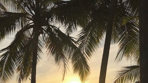 #lifeatexpedia Beautiful Portobelo is full of history and culture. Located on the Caribbean coast it has a variety of world class attractions. The historic town of Portobelo is one of the most scenic spots in Panama. Set on a turquoise Caribbean bay, it was Spanish Empires' s trade epicenter in the 16th and 17th century. Don´t miss the Portobello Fortress and the Cristo Negro Church!