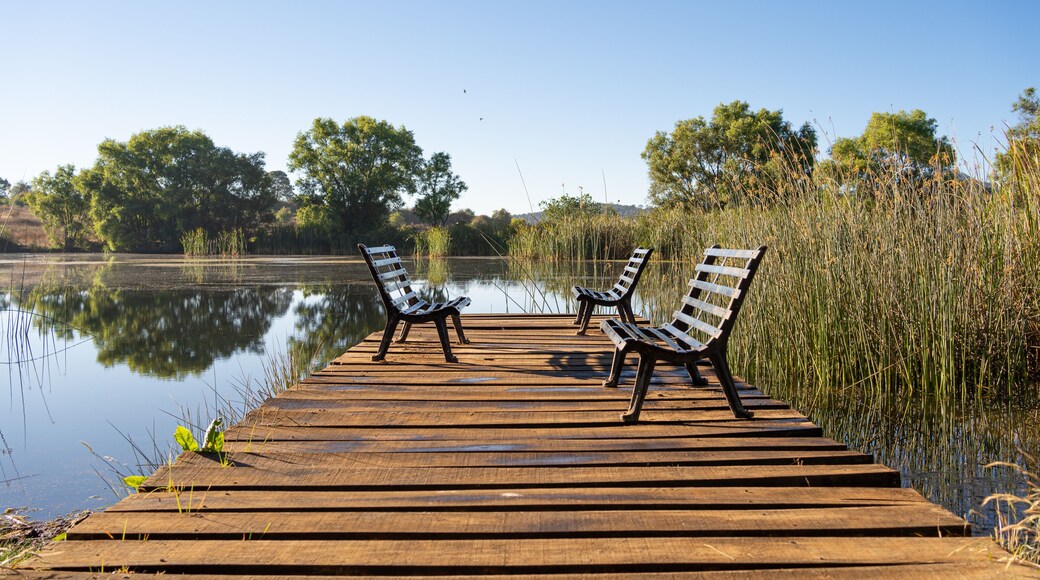 Las bancas están en el muelle del lago en el bosque de Tapalpa Jalisco, México.