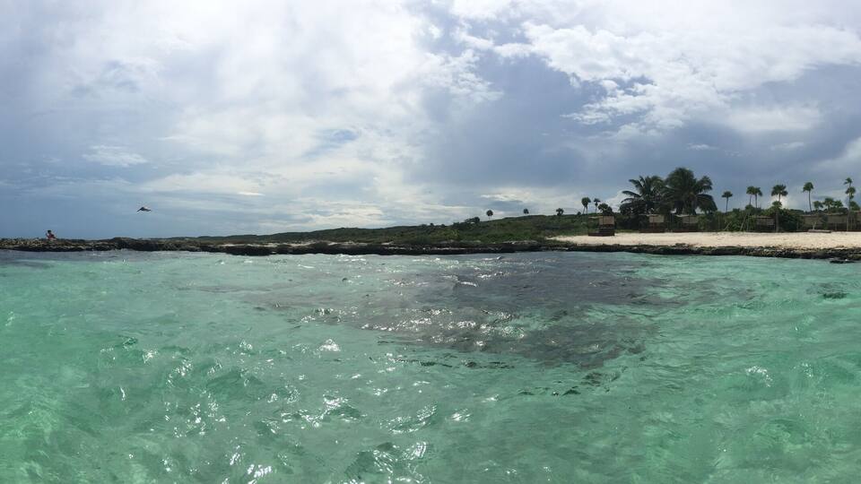 Turquoise ocean water, a sandy beach, palm trees, and a thatched-roof building.