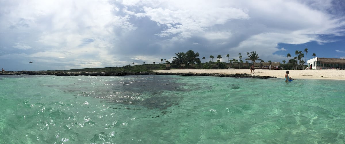 Turquoise ocean water, a sandy beach, palm trees, and a thatched-roof building.