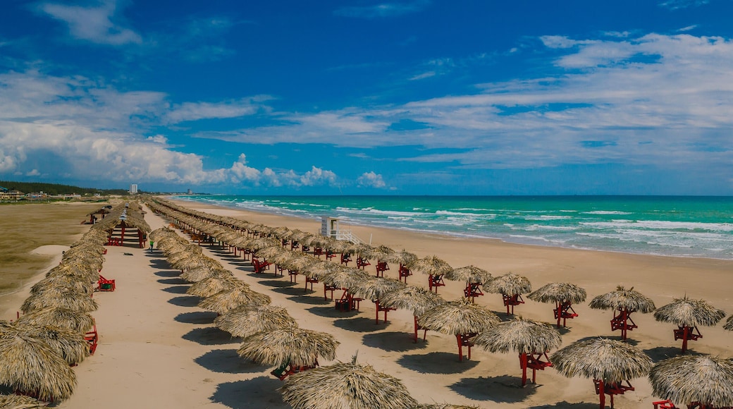 Playa Miramar de Ciudad Madero Tamaulipas México