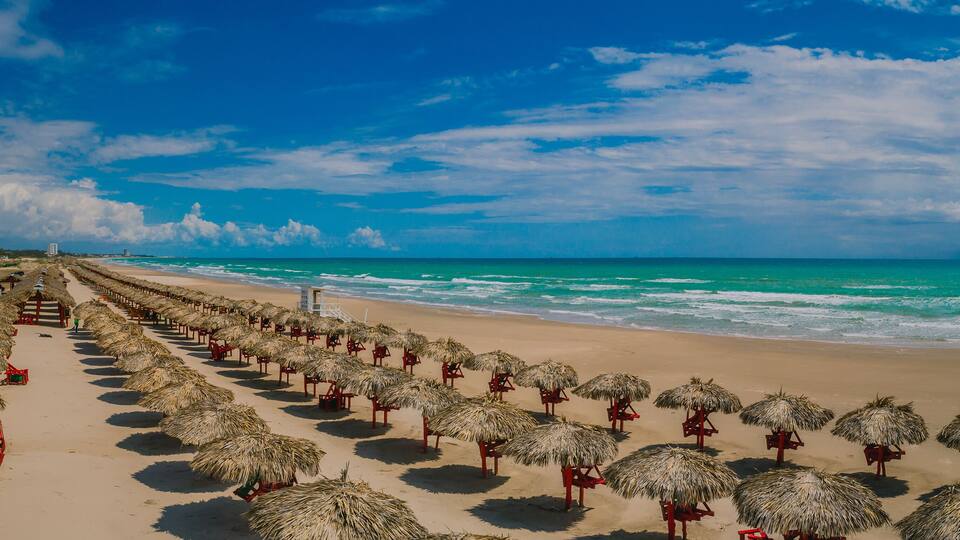 A beach with rows of thatched umbrellas and chairs, a sandy shore, and the ocean in the background.
