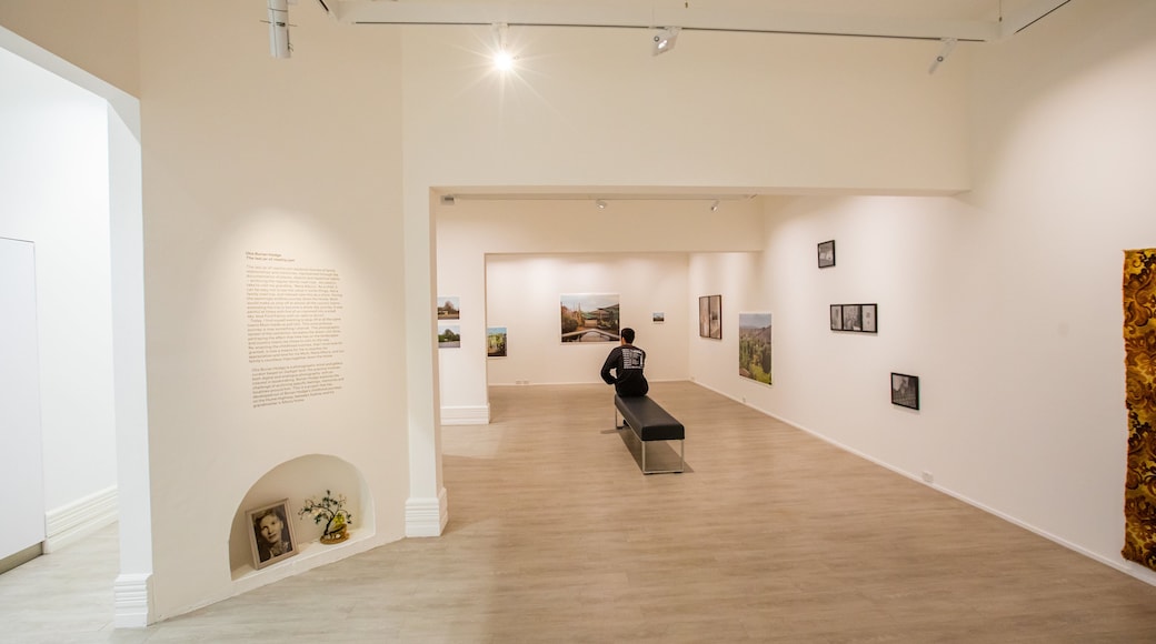 Murray Art Museum Albury which includes interior views and art