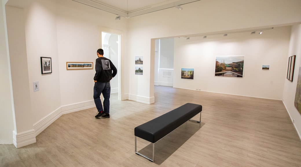 Murray Art Museum Albury which includes art and interior views as well as an individual male