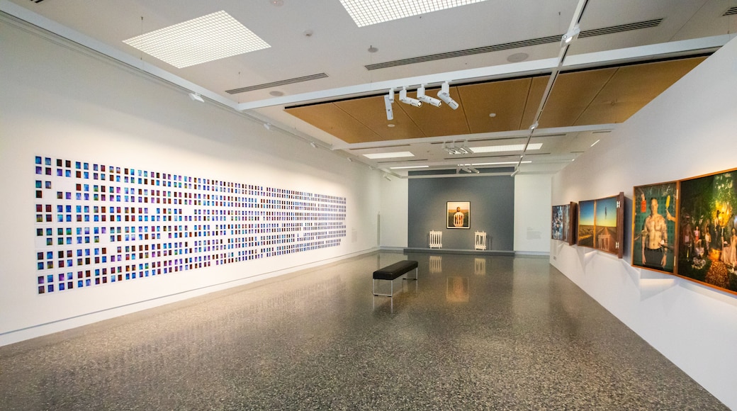 Murray Art Museum Albury which includes interior views and art