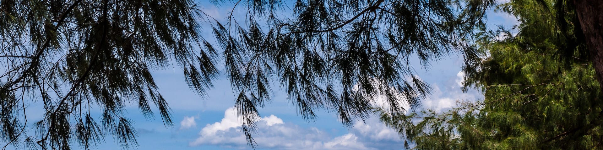 Beautiful Cha-am beach with blue sky and pine trees.