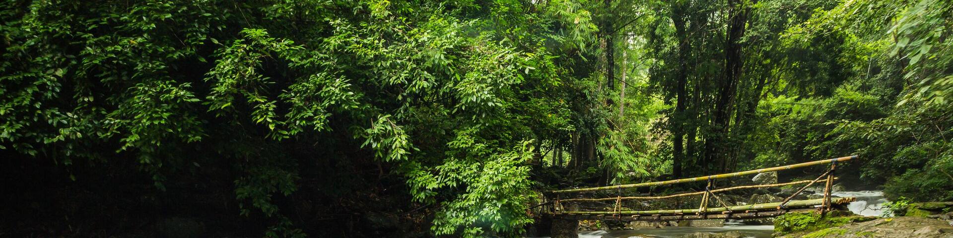 Un río que fluye sobre rocas con un puente de madera.