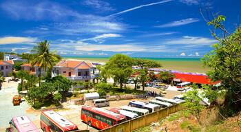 A coastal town with a beach, parked buses, and palm trees.