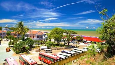 Bãi biển Long Hải trong đó bao gồm phong cảnh và quang cảnh miền nhiệt đới