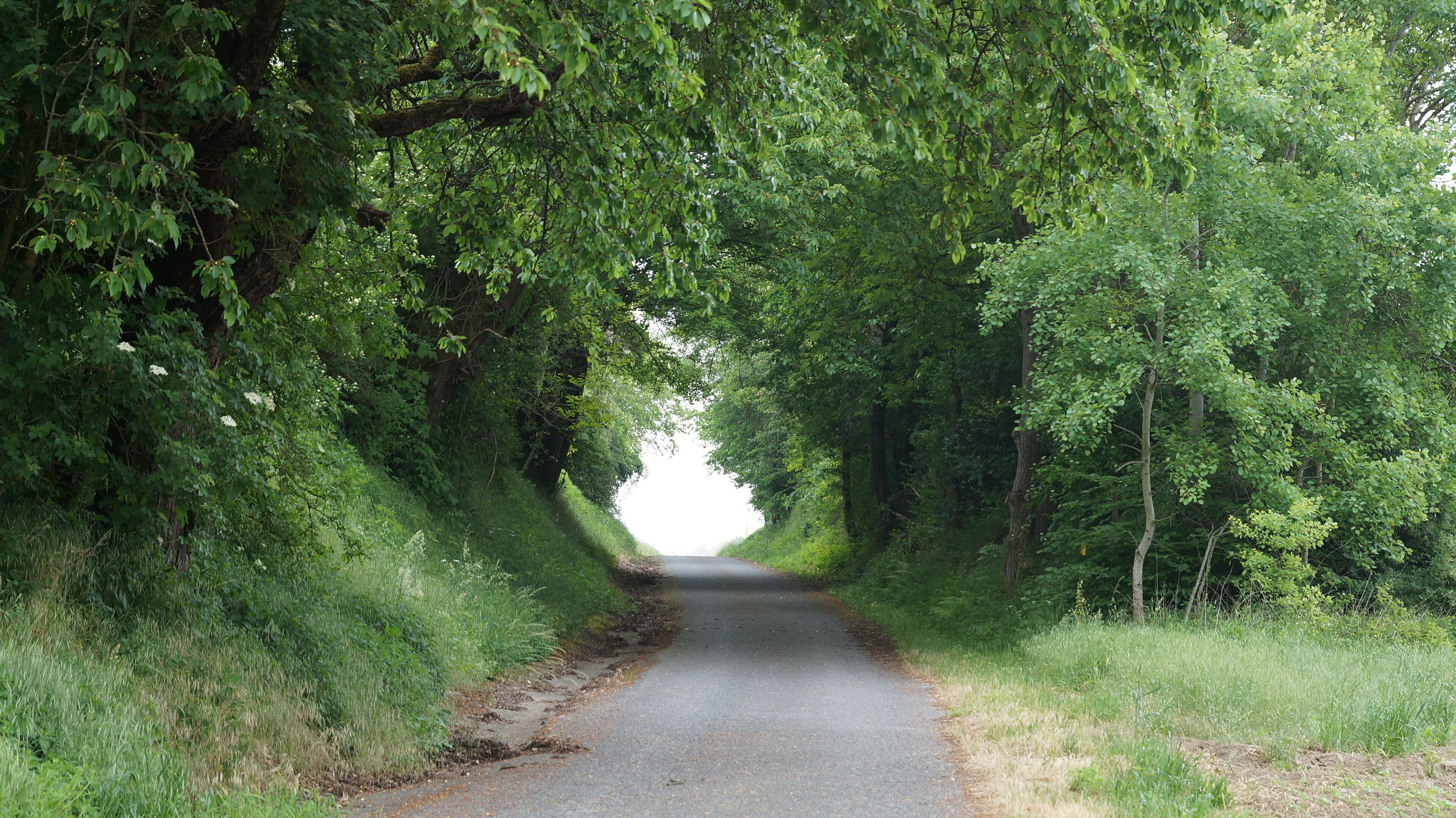 Landschaft Feldwege Hohlenwege 69242 Mühlhausen-Kraichgau