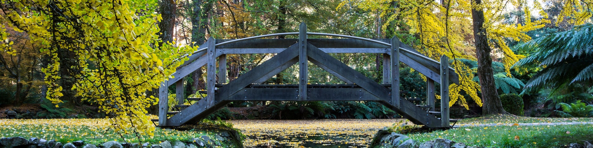 Footbridge across the ornamental pond at Melbourne's renowned Alfred Nicholas Gardens in the Dandenong Ranges during autumn.