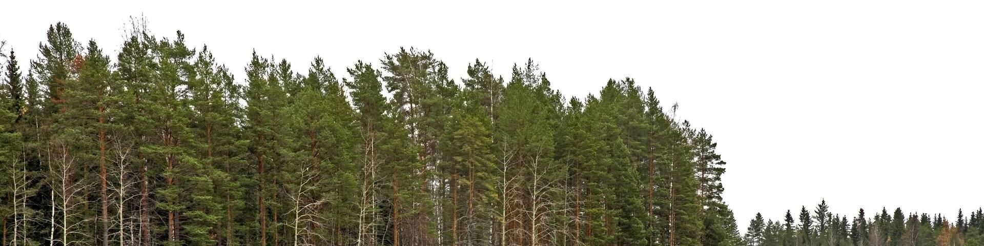 Ruokosalmi lake in Lomarantala. Tahko. Finland