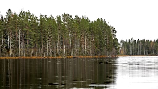 Tahkovuori