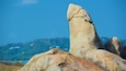 Une formation rocheuse remarquable, caractérisée par un sommet pointu, entourée d’autres gros blocs de pierre et dominée par une colline boisée parsemée de maisons.