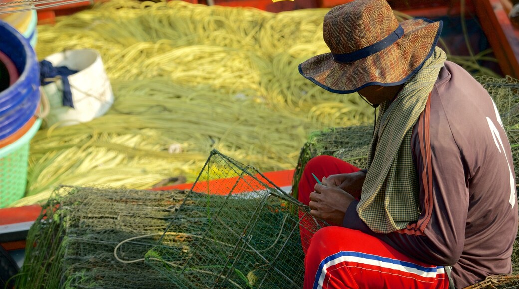 納通碼頭 以及 一個男性