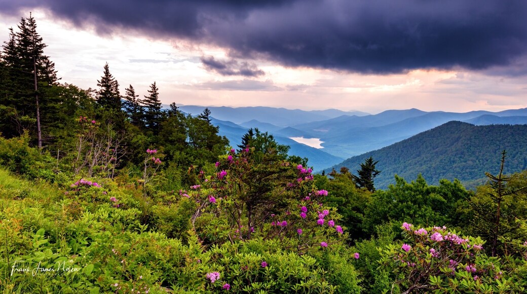 This shot was on the Blue Ridge Parkway just past Mt Mitchell NC. Awesome views from the parkway, just don’t be limited to the overlooks. #blueridgeparkway #northcarolina #hiking #outdoors #wanderlust