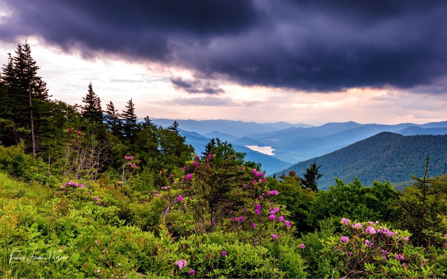 This shot was on the Blue Ridge Parkway just past Mt Mitchell NC. Awesome views from the parkway, just don’t be limited to the overlooks. #blueridgeparkway #northcarolina #hiking #outdoors #wanderlust