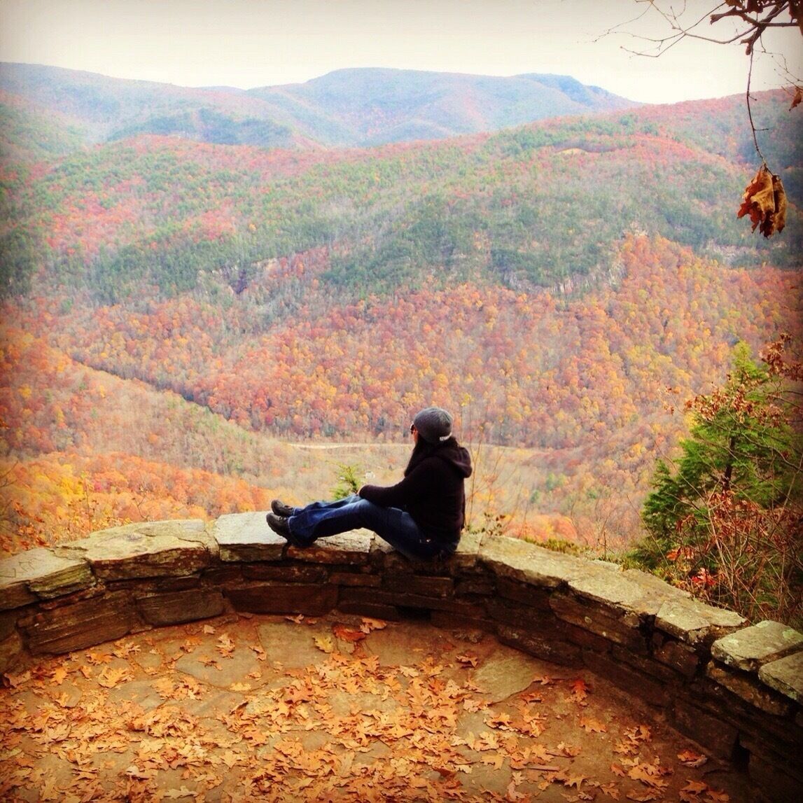 A person sitting on a stone bench overlooking a forested valley with autumn foliage.