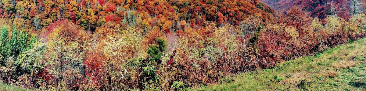 Beautiful autumn day near Mt. Mitchell
