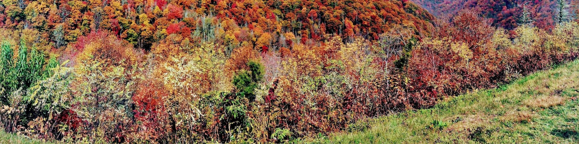 Beautiful autumn day near Mt. Mitchell