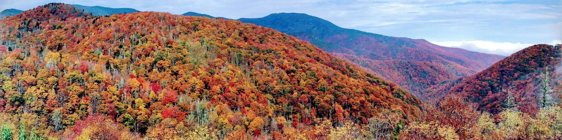 Beautiful autumn day near Mt. Mitchell