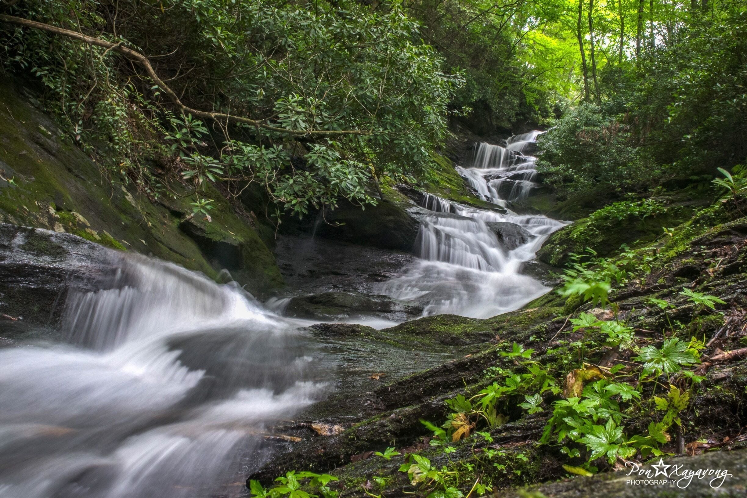 A cascading waterfall surrounded by lush greenery.