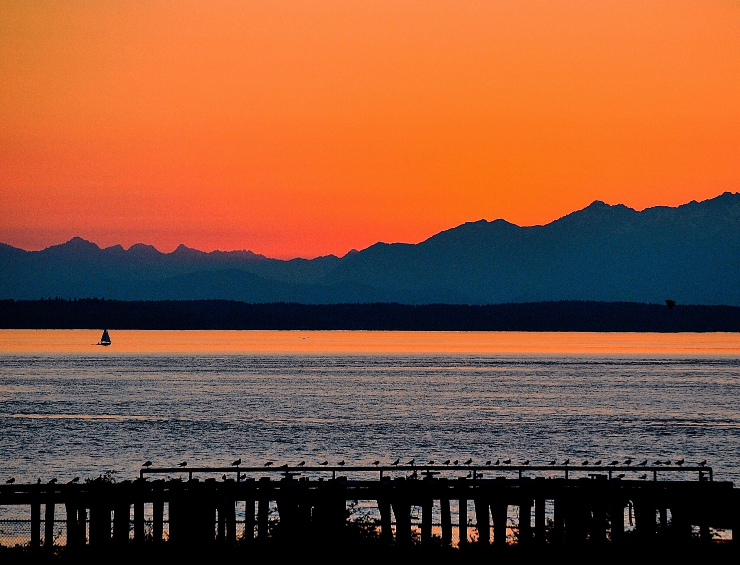 Olympic Mountains as seen from Chambers Bay #goldenhour 