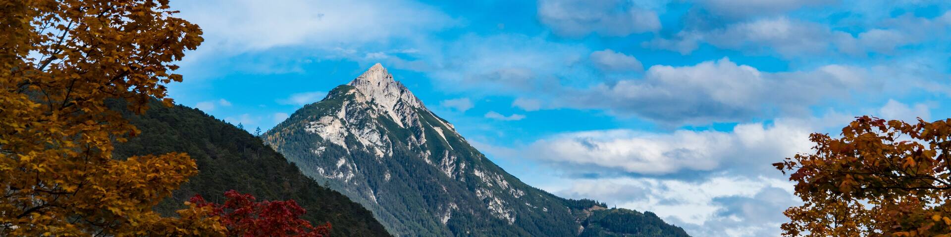 A snow-capped mountain with autumn foliage in the foreground.