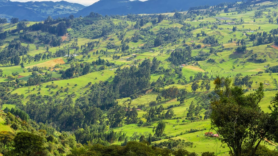 A lush green valley with rolling hills, scattered trees, and a few small buildings.