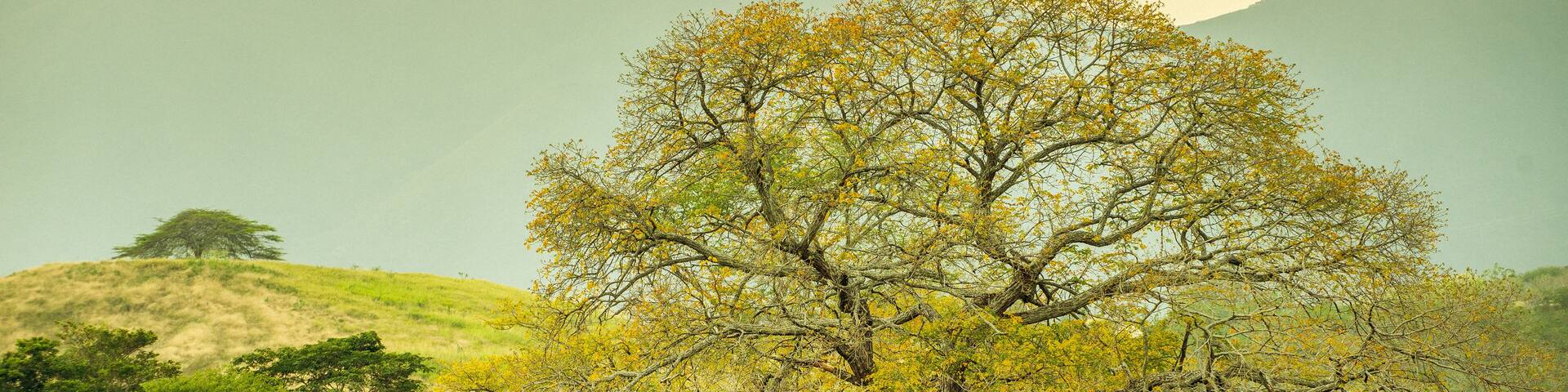 Atardecer en Girardot Cundinamarca, Paisajes de Colombia