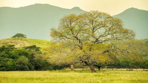Atardecer en Girardot Cundinamarca, Paisajes de Colombia