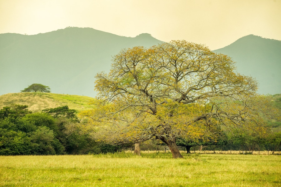 Atardecer en Girardot Cundinamarca, Paisajes de Colombia