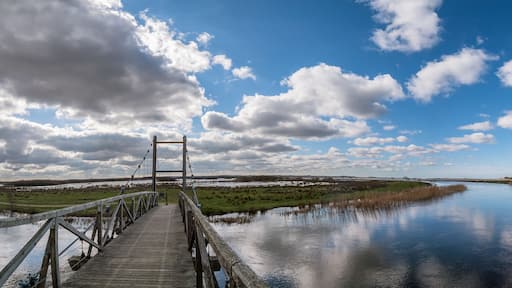 Kong Hans suspension bridge in Skjern meadows Ringkoebing, Denmark