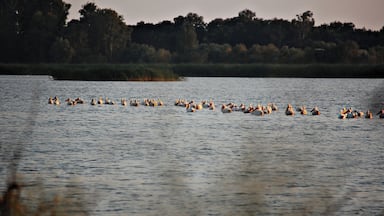 The 'pelican lake' only to ourselves... a treat, indeed!