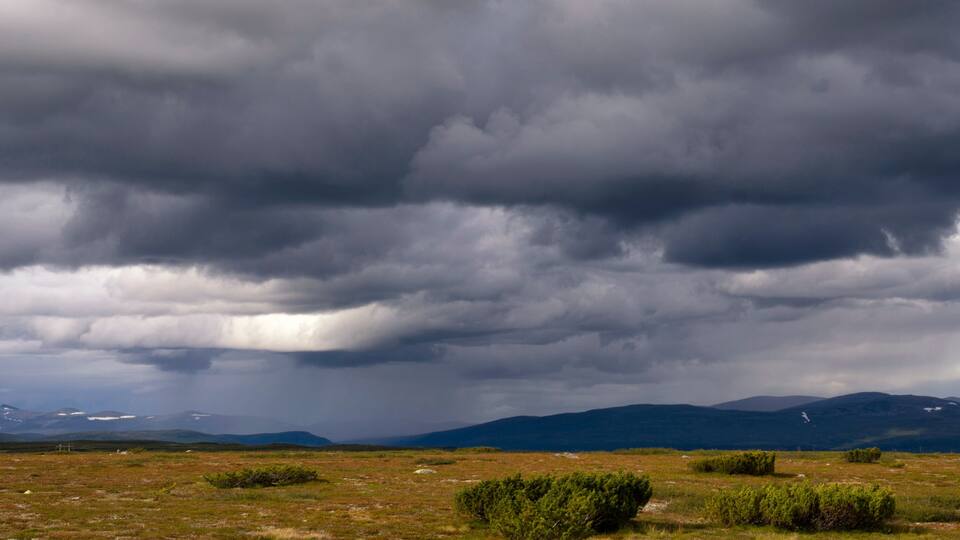 A grassy field with scattered bushes and distant mountains under a cloudy sky.