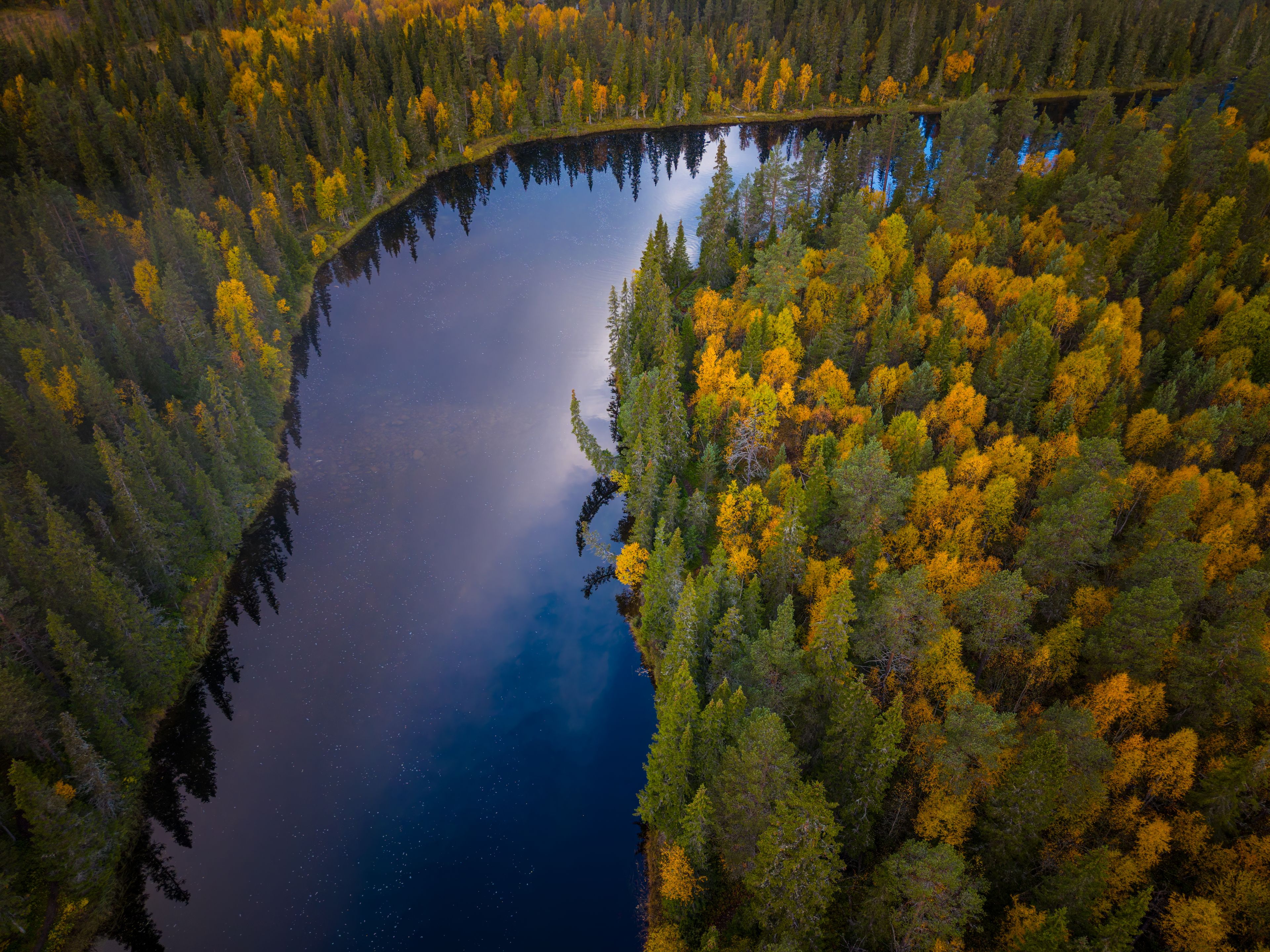 Aerial view of River Ljusnan winding through a dense forest with vibrant autumn foliage and evergreen trees in Funasdalen, Jamtland County, Sweden.