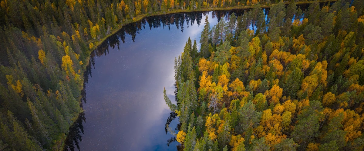 Aerial view of River Ljusnan winding through a dense forest with vibrant autumn foliage and evergreen trees in Funasdalen, Jamtland County, Sweden.