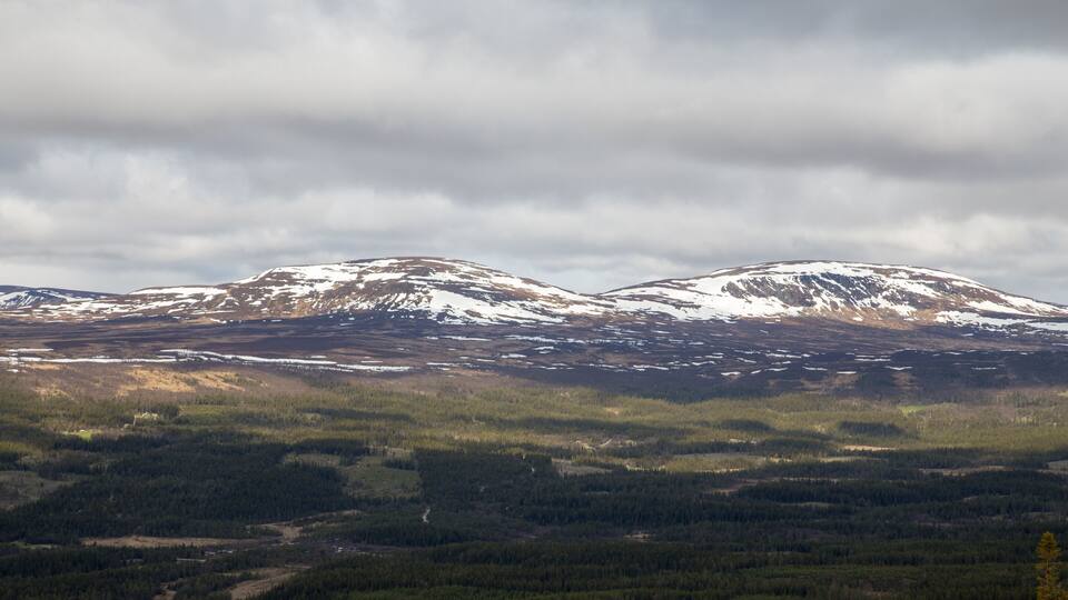 A mountainous landscape with snow-capped peaks and a forested valley.
