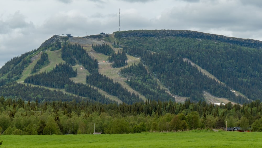A mountain with a ski lift, a field in the foreground, and a forested area.