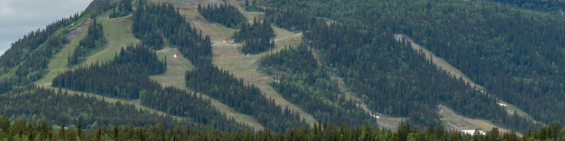 Ski slopes in summer, at Funasdal mountain, in Funasdalen, Harjedalen, Sweden.