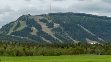 Ski slopes in summer, at Funasdal mountain, in Funasdalen, Harjedalen, Sweden.