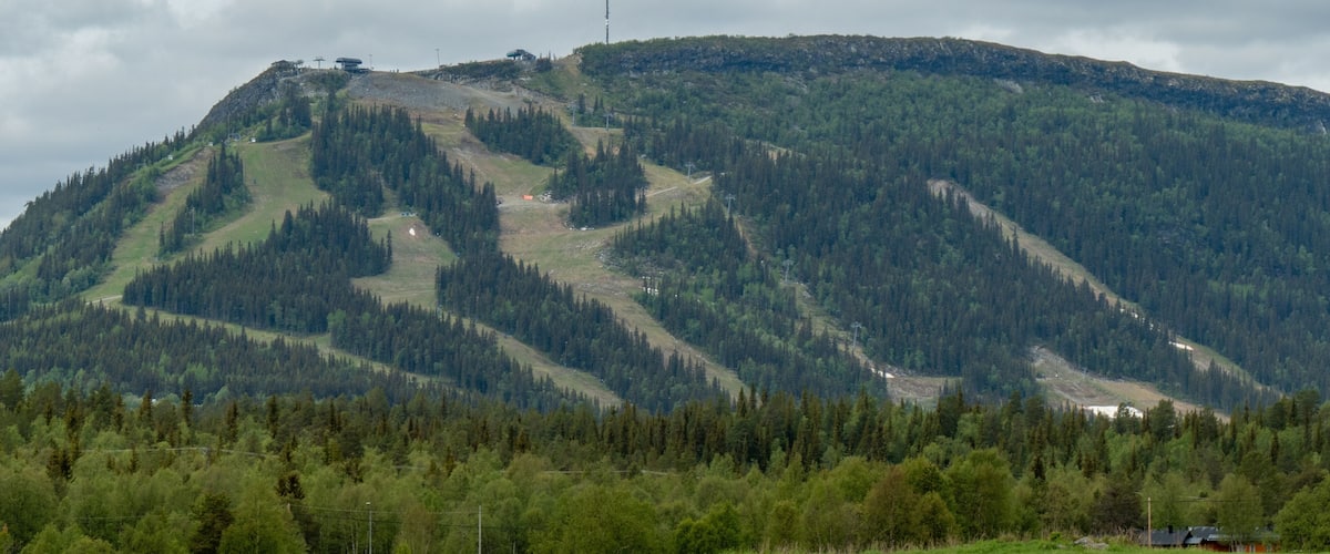 A mountain with a ski lift, a field in the foreground, and a forested area.