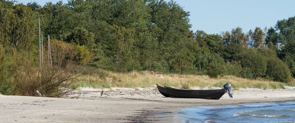 A boat on a sandy beach with water and trees in the background.