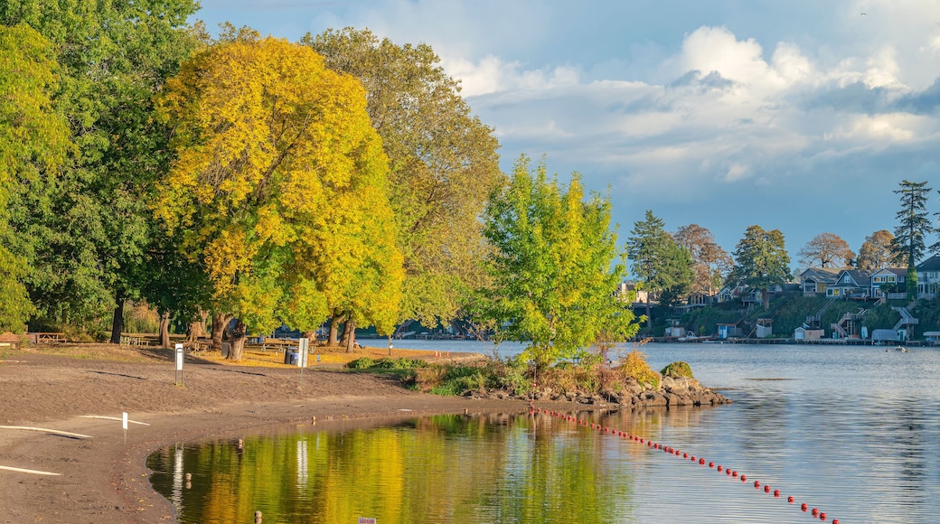 Signs of Fall weather in a public park Fairview Oregon.