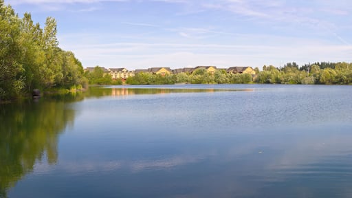 Salish Pond panorama in Fairview Oregon.